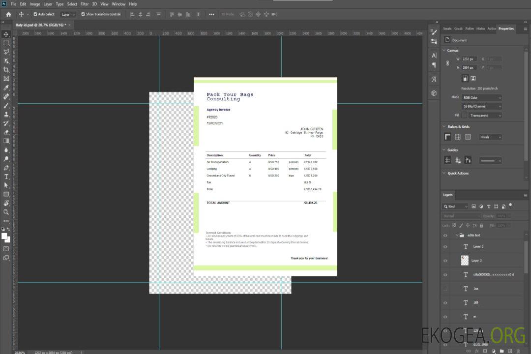 USA Pack Your Bags Facture de consultation template USA Pack Your Bags Facture de consultation template